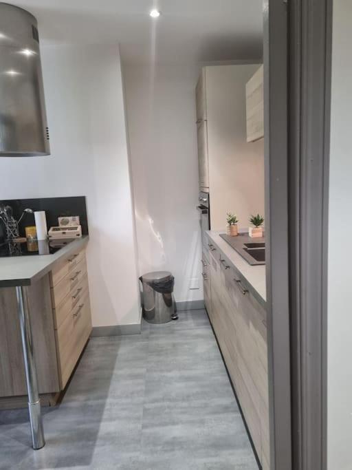 L'Ourse, Epinal,Tres Bel Appartement Quartier Port Exteriér fotografie