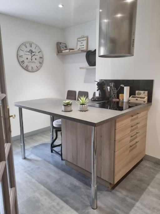 L'Ourse, Epinal,Tres Bel Appartement Quartier Port Exteriér fotografie